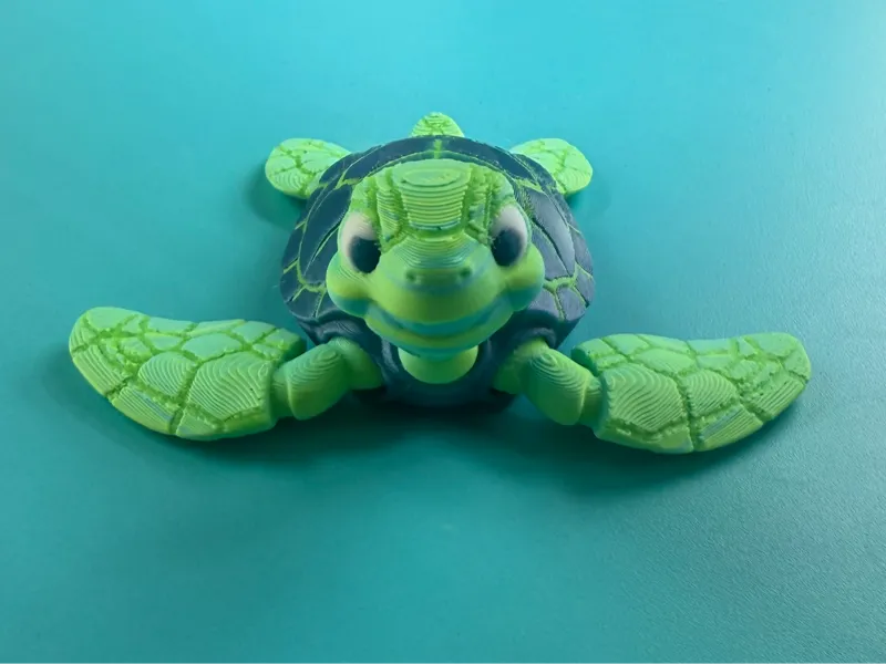 Nalu the Sea Turtle