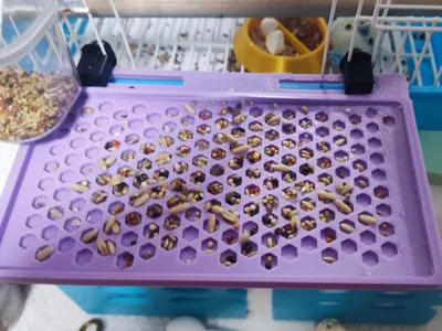 Adjustable bird foraging platform