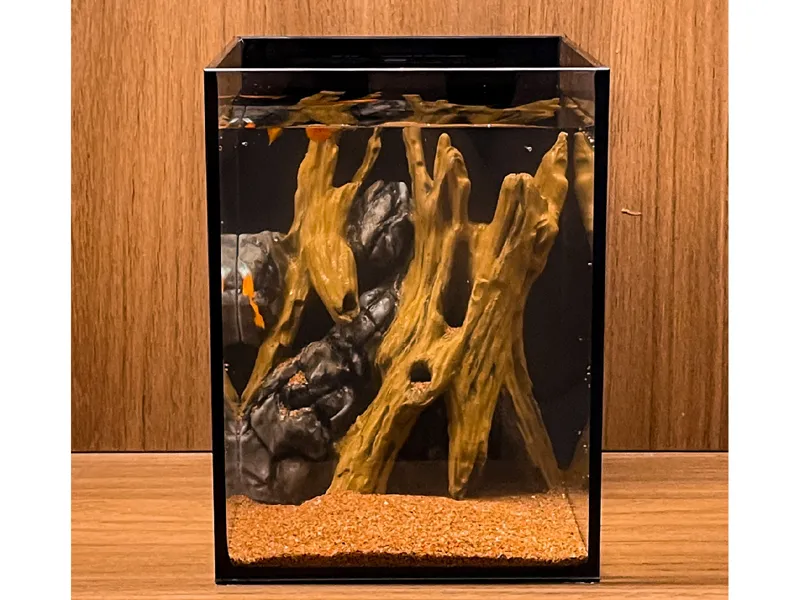 热带树木石头墙壁鱼缸造景，生态陆缸背景，鱼缸躲避屋