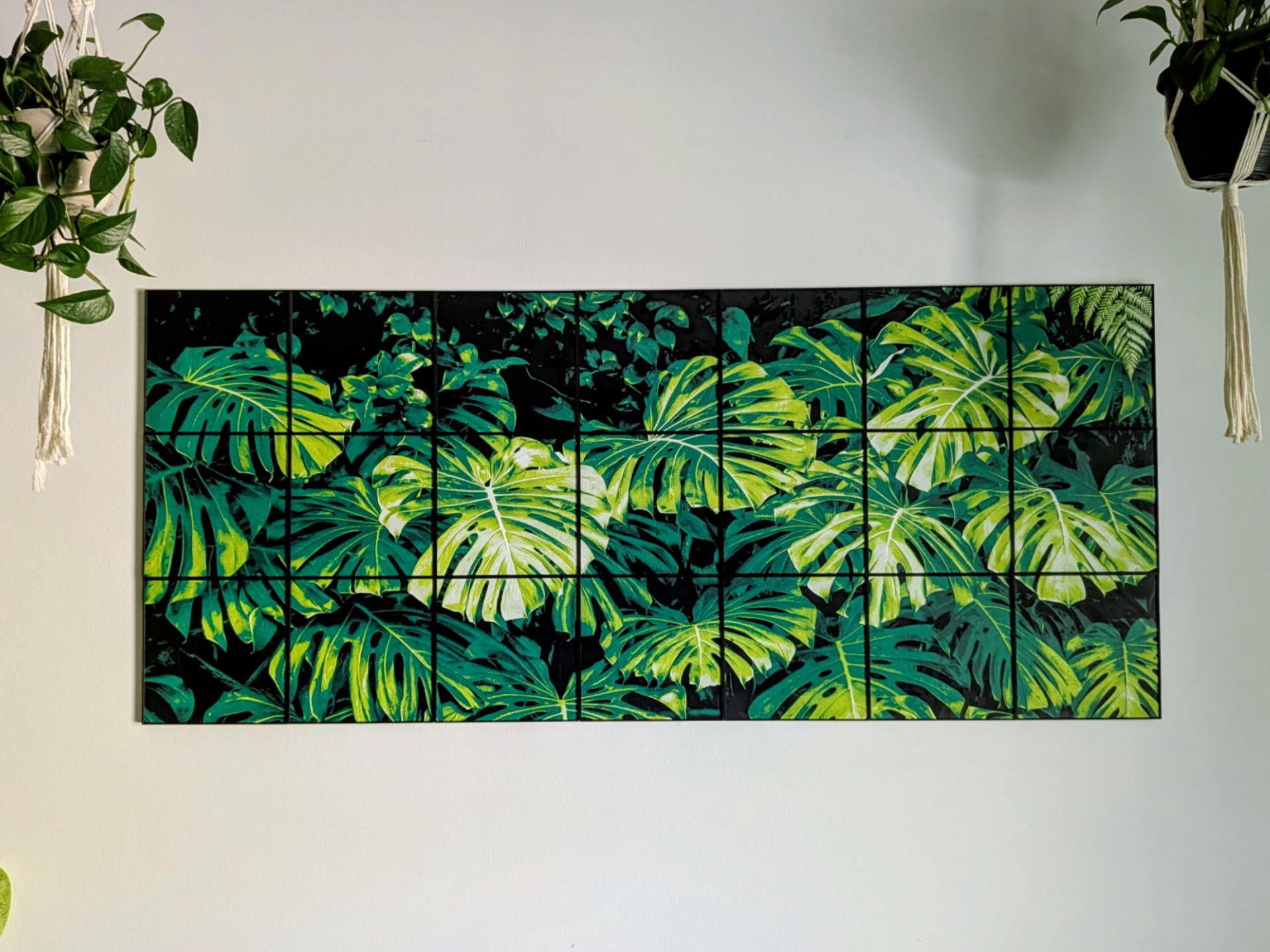 Monstera Garden