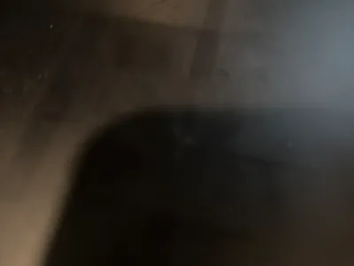 Dhaidh