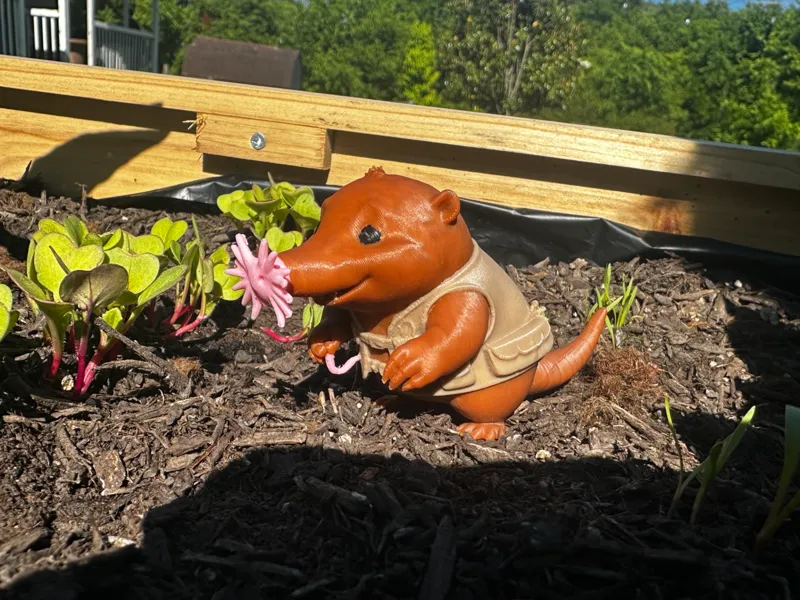 Starnosed Mole explorer