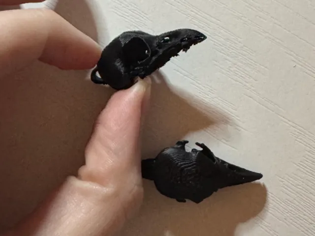 Raven Skull Earrings