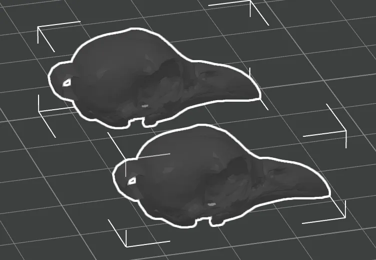 Raven Skull Earrings view 3