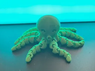 Cute Mini Octopus