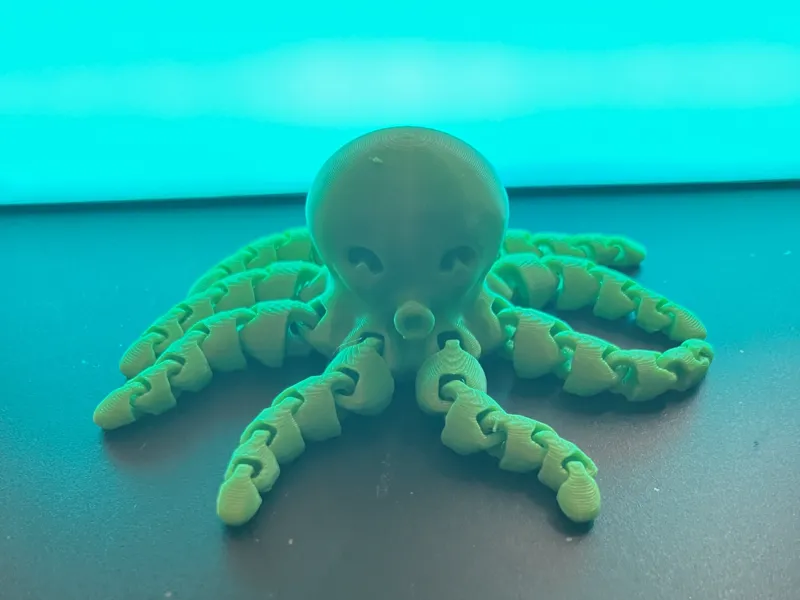 Cute Mini Octopus 