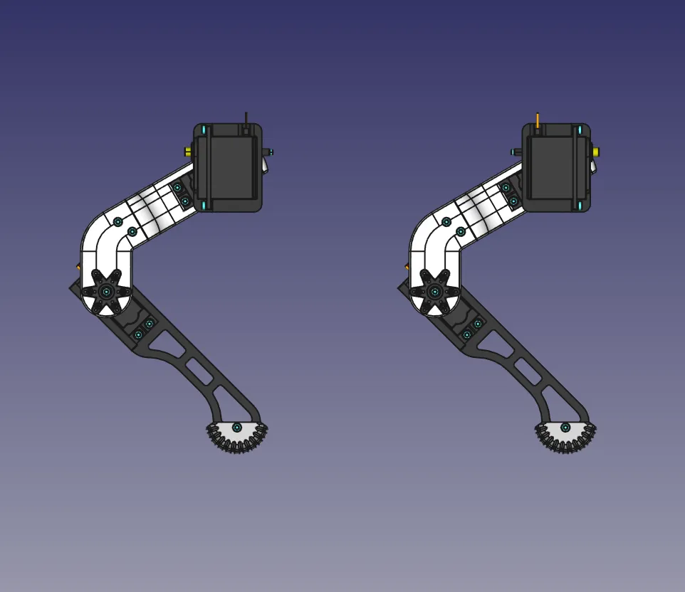 019 - Overview of all of the four legs