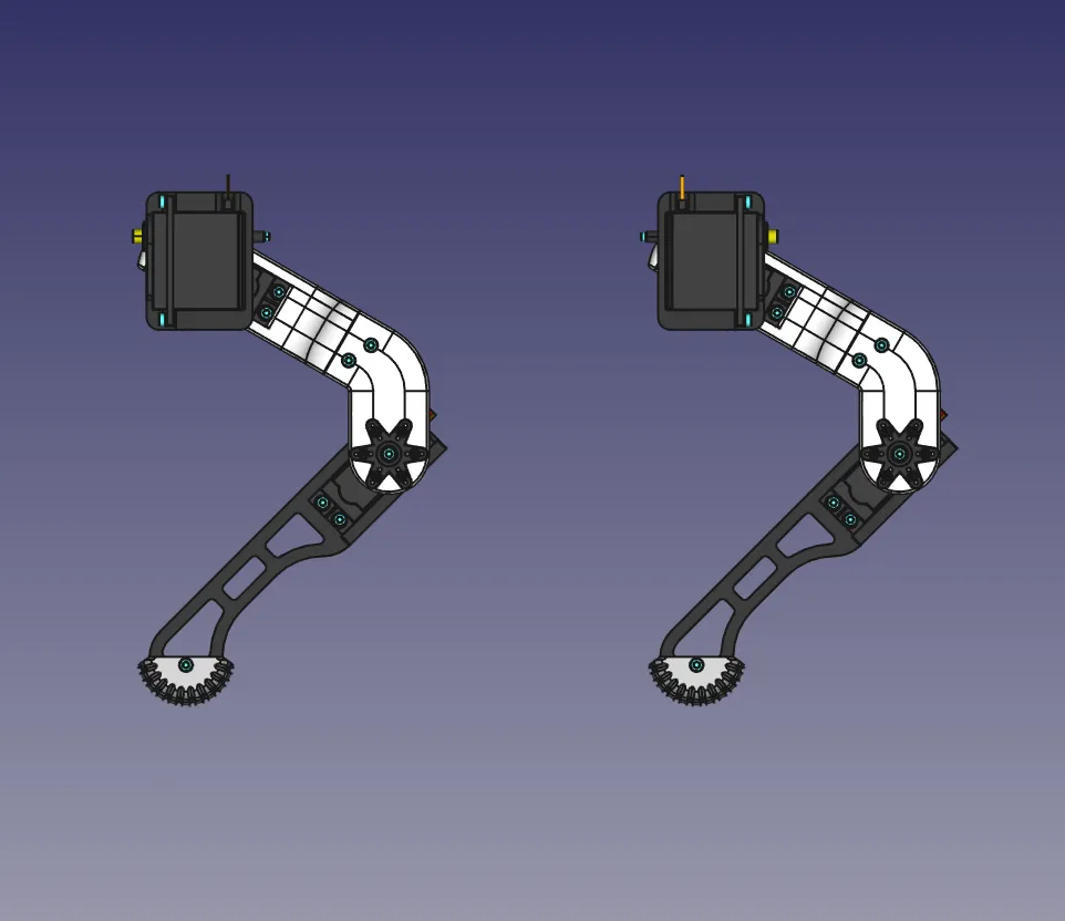 019 - Overview of all of the four legs