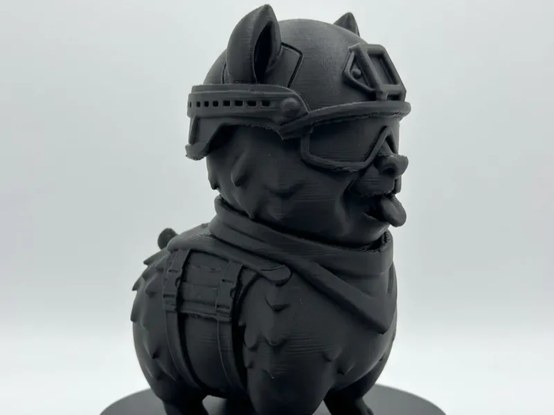 Tactical Corgi!