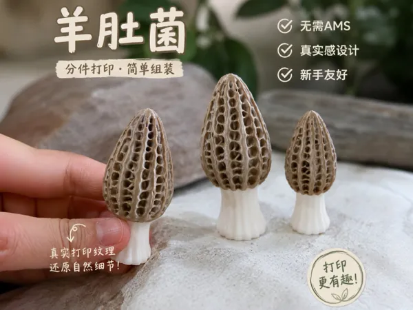 https://makerworld.bblmw.com/makerworld/model/DSM00000002833847/design/d82db79d0e56ac9a.png