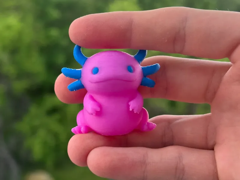 Cute Chubby Axolotl Statue Easy Print & MMU3 Ready