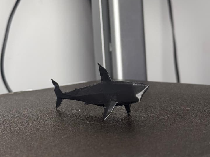 Tubaroes  megalodon e geometrico