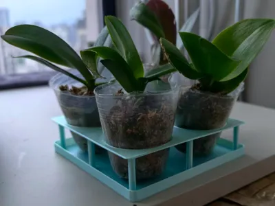 Seedling Pot Holder with Drip Tray