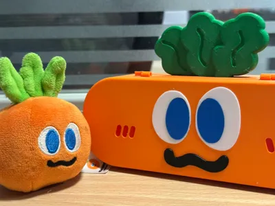 Bubu Storage Box and Glasses Case