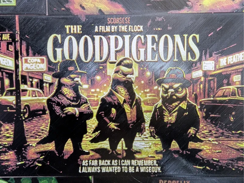 the good pigeons 
