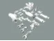 Articulated Zenomorph