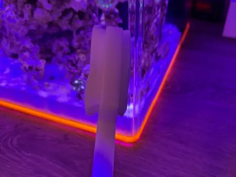 Sponge wand