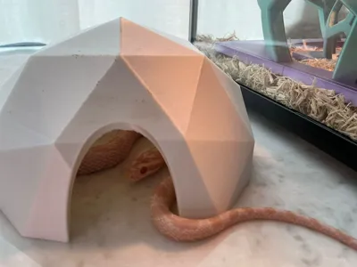Snake/reptile house
