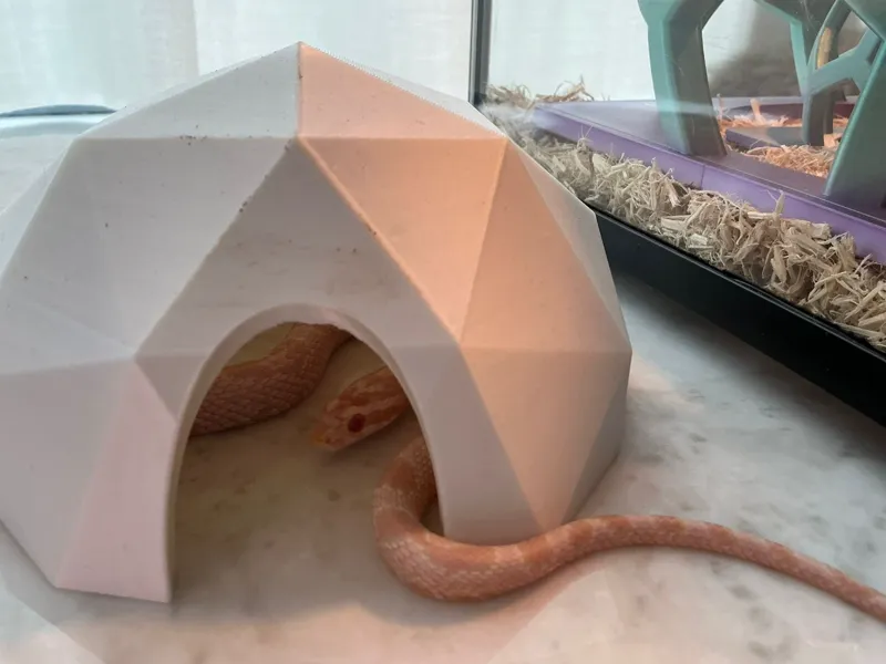 Snake/reptile house