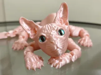 Sphynx cat