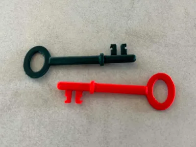 Universal Door Key – Organic Fantasy Style