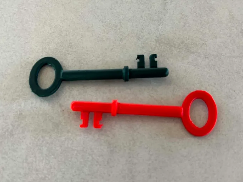 Universal Door Key – Organic Fantasy Style