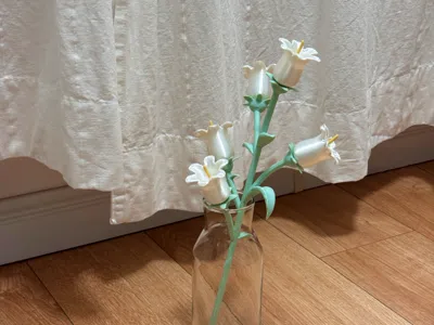 Campanula