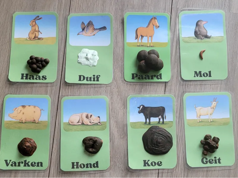 wie heeft er op mijn kop gepoept (poep)
