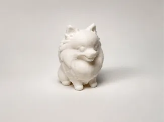 Tiny Cute Pomeranian - Benny