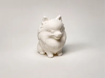 Tiny Cute Pomeranian - Benny