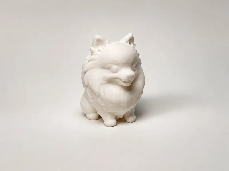 Tiny Cute Pomeranian - Benny