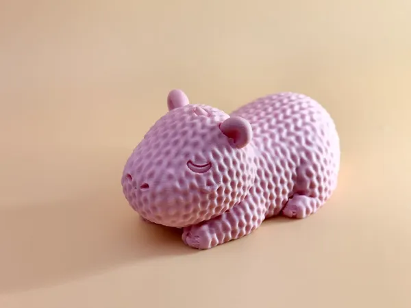 https://makerworld.bblmw.com/makerworld/model/DSM00000002845982/design/bcec02e9ba5f2d67.jpg