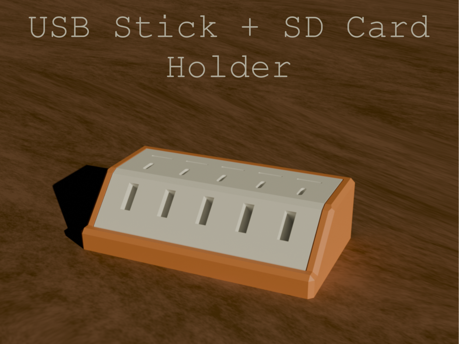 USB Drive + SD Card Holder