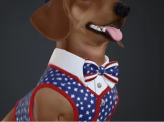 Patriotic Daschund