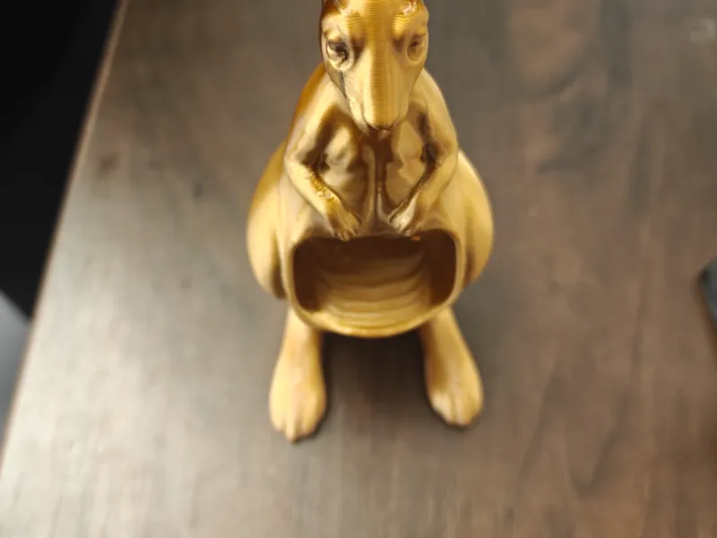 Kangaroo Desk Organizer