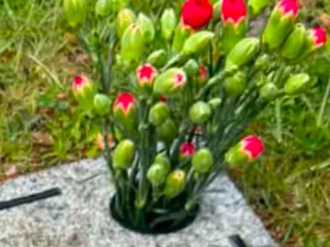 Gravestone - Flower holder