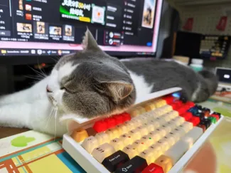 键盘防猫挡板 Hi75尺寸