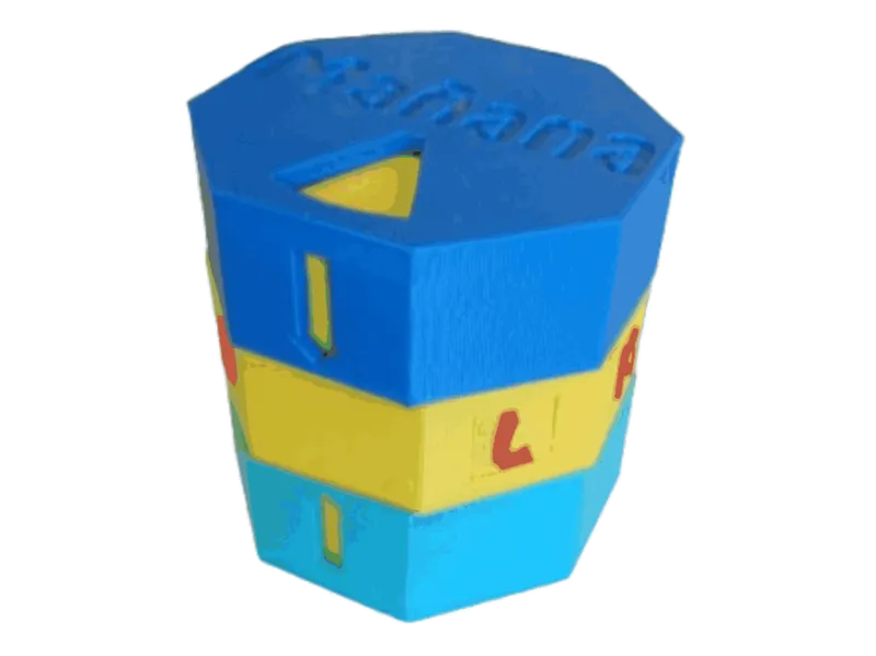 JAVIBA Octagonal Pillbox - Morning & Night