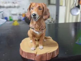 perrito