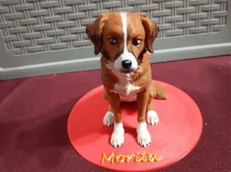 perrito 2