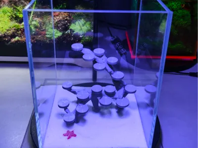 15cm Marine Aquascape Frame (Part 2)