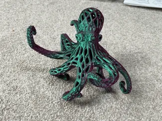 Octopus 