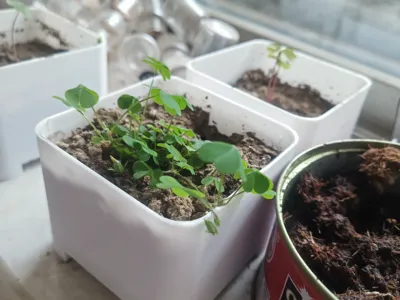 7560 Simple Flower Pot, Breathable Planting Pot
