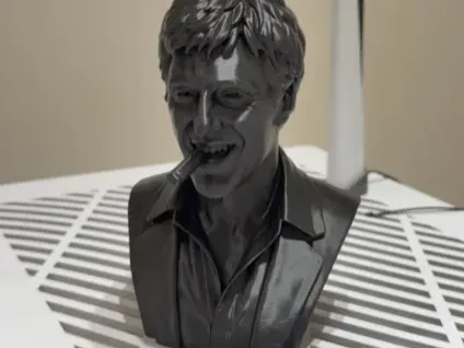 Alpacino bust