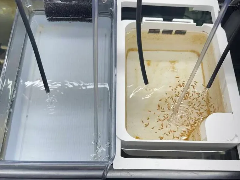 breeder box fry tray