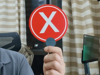 True/False Paddles Game Prop