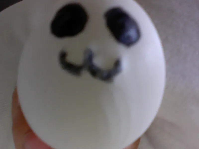 eggdog