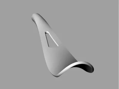 Shoe Horn