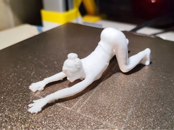 https://makerworld.bblmw.com/makerworld/model/DSM00000002862069/design/f951a2f9ce44fdf1.jpg