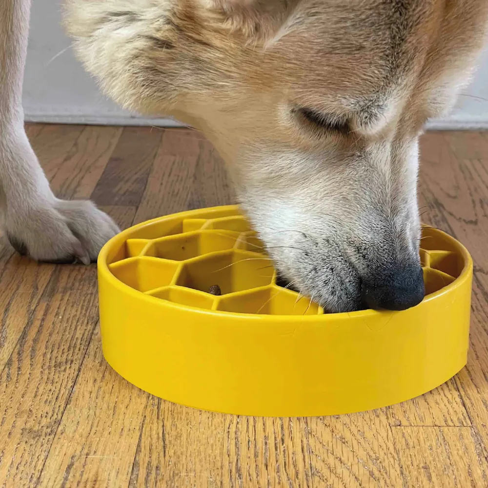 Honeycomb Slow Feeder Bowl - Free 3D Print Model - MakerWorld